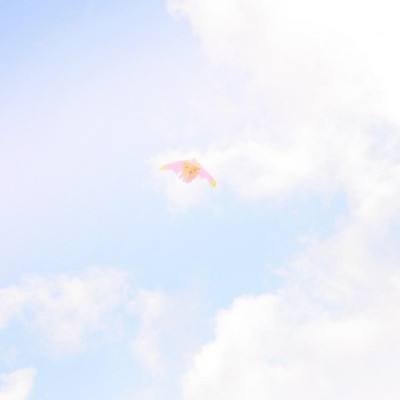 放开那小乔手游下载