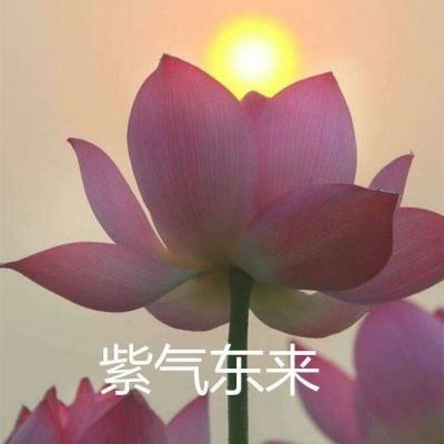 九州起源异兽传手游下载